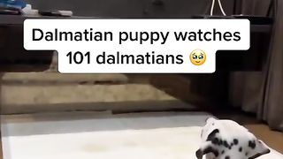 Watching 101 dalmatians