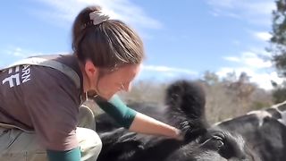 Destiny’s happy belly rub sounds are all you need to hear today