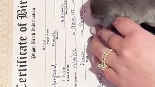 Paw prints on her birth certificate