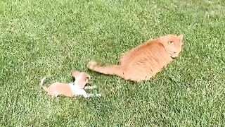 Bffs from the start