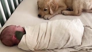 A new friendship has been born