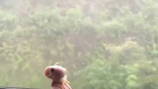 Oh look! It’s raining