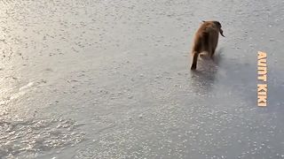 A Fishing Odyssey