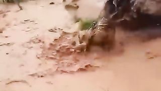 Funny vidio short