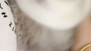 Cat heals every day 1