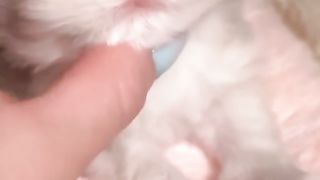 Cat heals every day 5