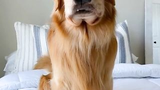 The spicy sky raisin strikes again