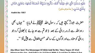 اسلامی معلومات 875