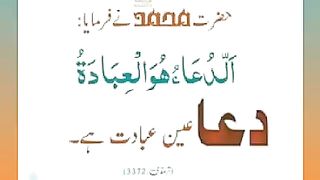 اسلامی معلومات 866