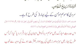 اسلامی معلومات 872