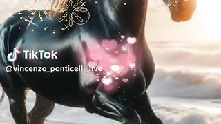 magnifique vidéo 30