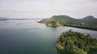 "Exotic Elegance: St. Domingo's Islands in Living Color"