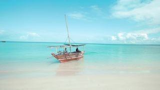 "Island Symphony: Harmonizing with St. Domingo's Nature"