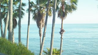 "Enchanting Isles: A Tropical Odyssey"