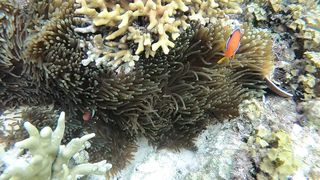 "Island Escape: Unveiling Nature's Hidden Gems"