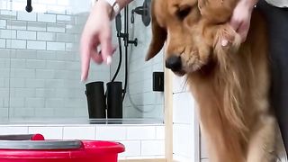 Who’s gonna tell Linda her toe beans are the ones that need washin