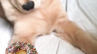 When you’re looking through the menu while on a hekkin diet