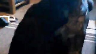 Late boef n kalu cat. One video find more.