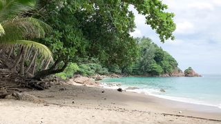 "Coastal Chronicles: Tales from the Isle of Serenity"