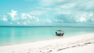"Island Whimsy: A Journey Through Enchanted Shores"