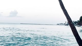 "Maritime Marvels: Unveiling Nature's Coastal Secrets"