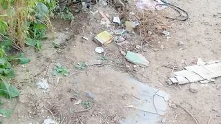 Cute funny tabby cat