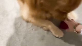 Wait for it 8