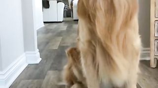 She tried to puts me on a diet