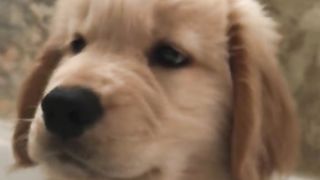 I has hiccups