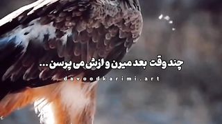 ...عقاب وقفس حتما گوش کنید