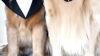 Here come the men in BORK