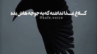 ..حکایت بسیار زیبای قدر نشناس