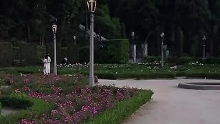 Beautiful park of barcelona