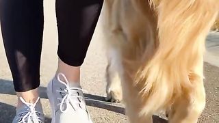 When Linda’s shoes are PEE proof