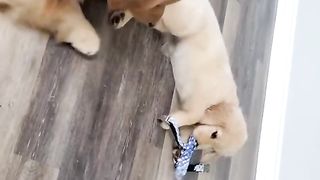 THAT'S MINE!