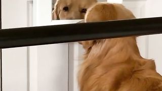AM WATCHING YOU