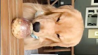 I Want Steak
