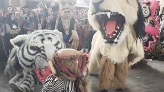 atraksi barongan di desa donorejo