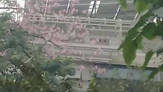 Beautiful view 78