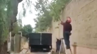 Funnyamin 9
