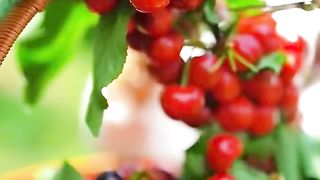 Fruit ???????????????? 2