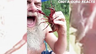best funny fails of the year 2023