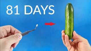 Seed To CUCUMBER Time Lapse