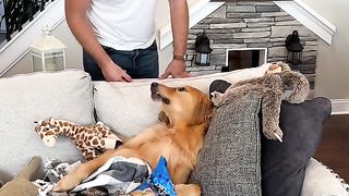 Funny dog decorate the house behide his master