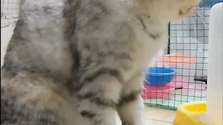 Lagi bete eh di video