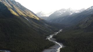 "Immersive Beauty: A Cinematic Journey Through the Wonders of Nature"