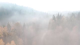 "Enchanting Wilderness: Exploring the Majesty of Nature"