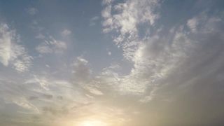 "Nature's Symphony: A Visual Ode to the Great Outdoors"