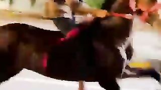 Horse running 2
