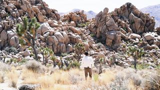"In the Lap of Nature: A Visual Retreat into Earth's Wilderness"